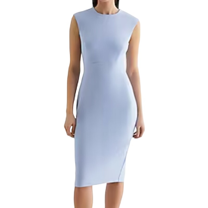 Express Crew Neck Cap Sleeve Back Zipper Midi Sheath Dress